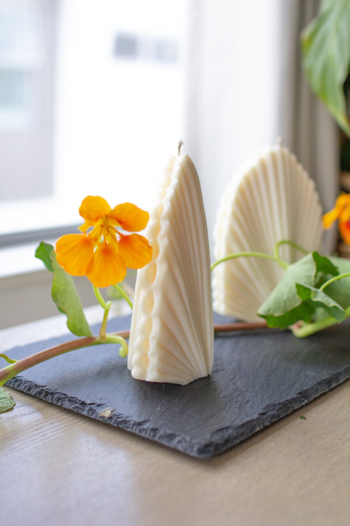 Shell Candle Handmade Shelly Shell-Shaped Candle | Handmade, Vegan Soy Wax, Unscented | Koa ...