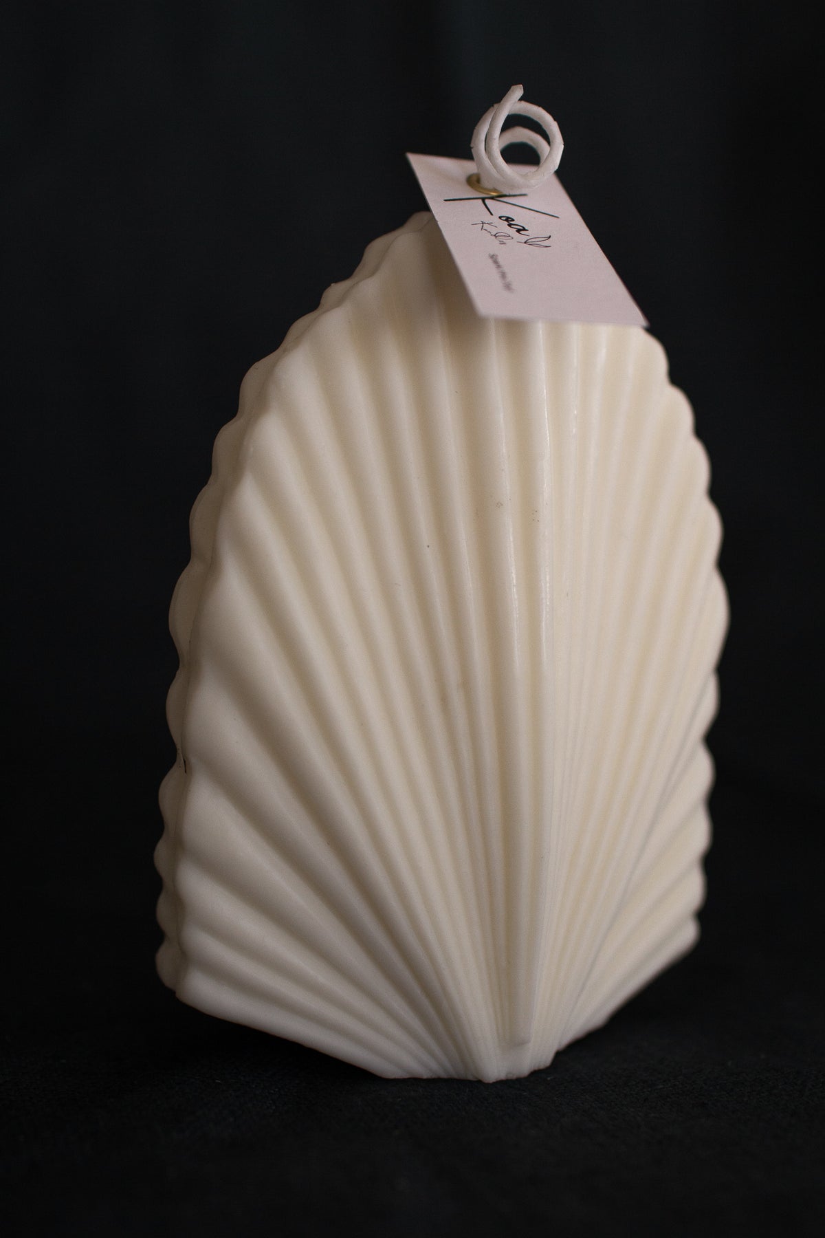 Shell Candle Handmade Shelly Shell-Shaped Candle | Handmade, Vegan Soy Wax, Unscented | Koa ...